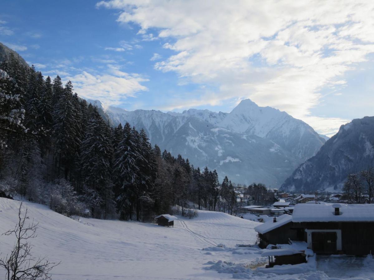 Apartment Hanser By Interhome Ramsau im Zillertal Ngoại thất bức ảnh